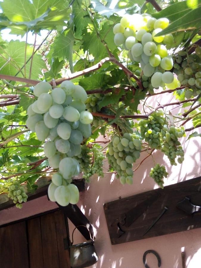 Belli Come Il Sole Serri 外观 照片
