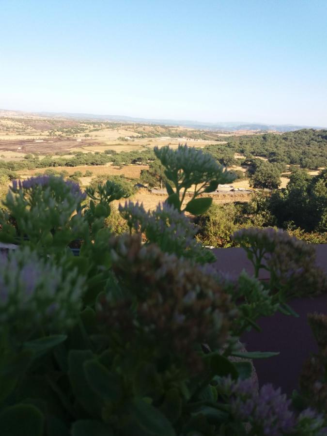 Belli Come Il Sole Serri 外观 照片